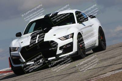 media/Mar-31-2024-Speed Ventures (Sun) [[a3b2bf813d]]/Purple/Session 2 (Grapevine)/